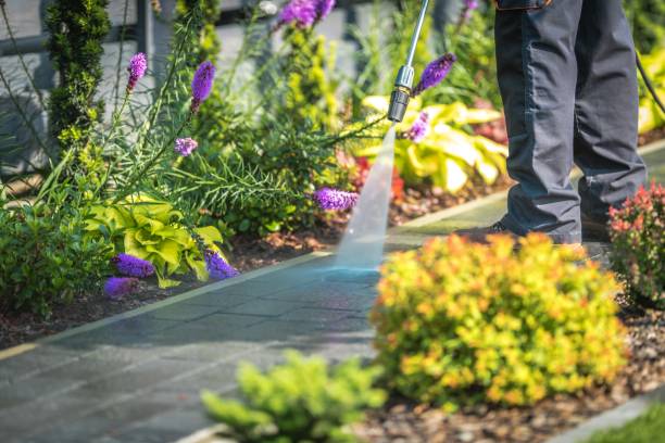 Best Pre-Holiday Cleaning  in Merced, CA